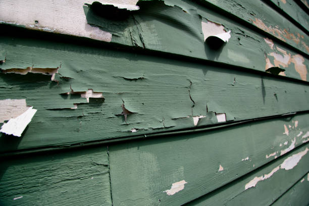 Best Storm Damage Siding Repair  in West Jefferson, NC